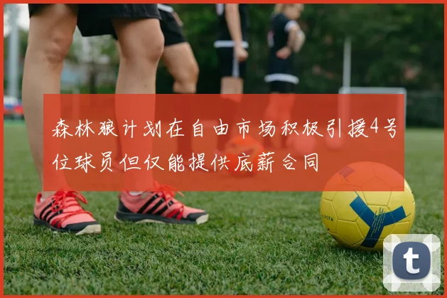 森林狼计划在自由市场积极引援4号位球员但仅能提供底薪合同